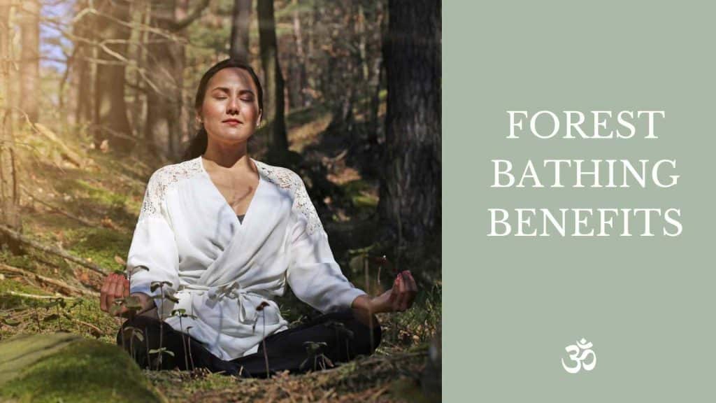 Forest Bathing Benefits